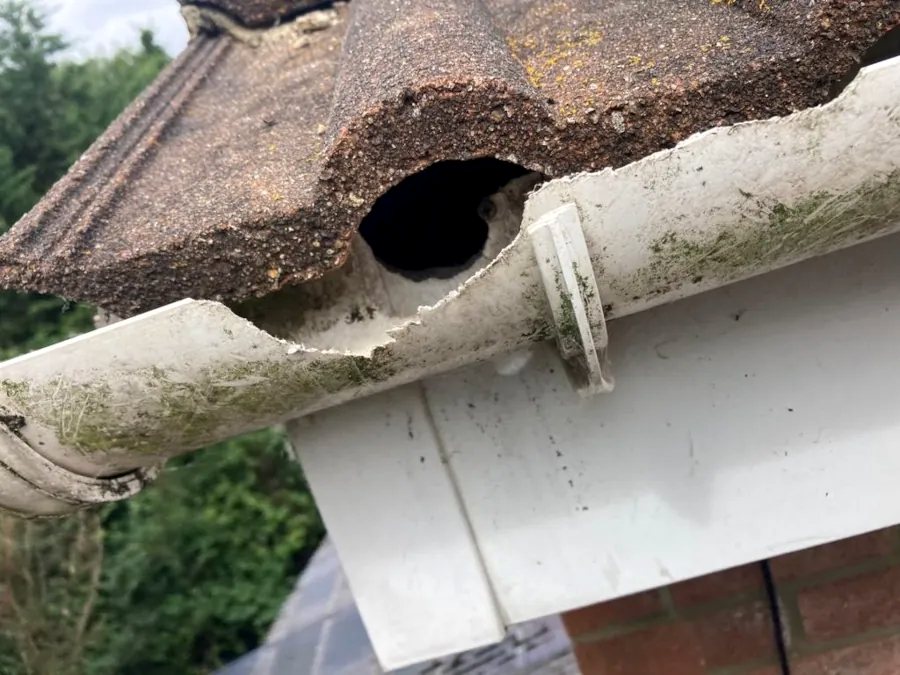 Gap at the eaves
