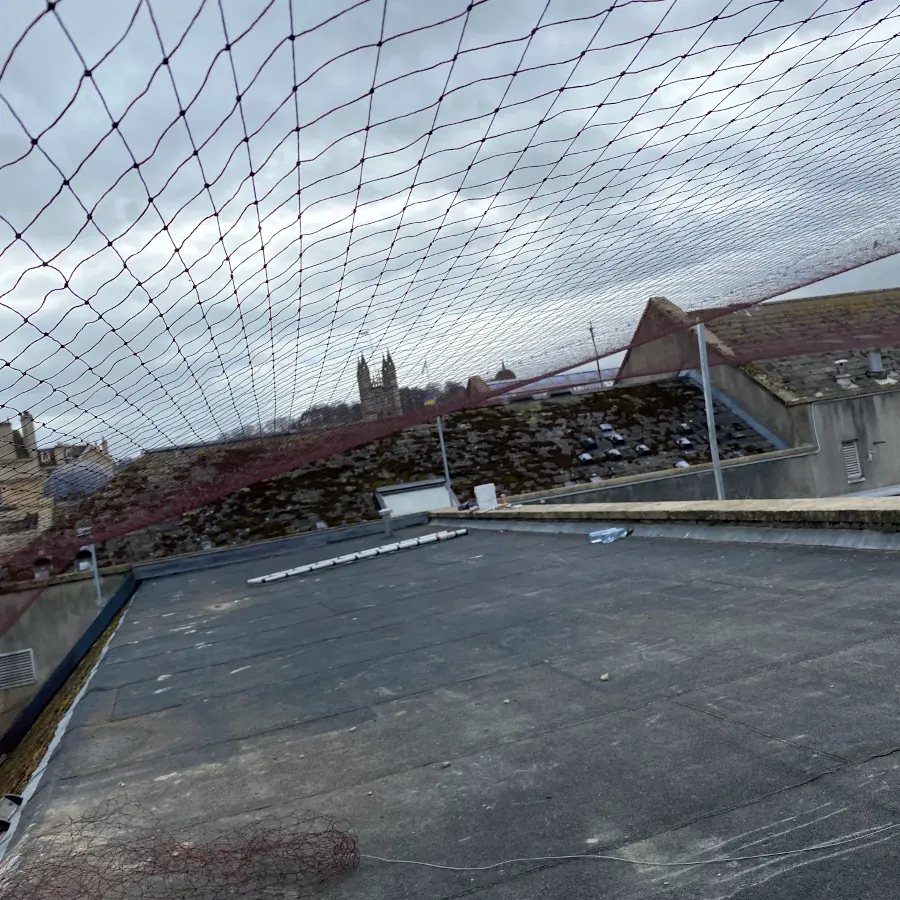 Roof netting