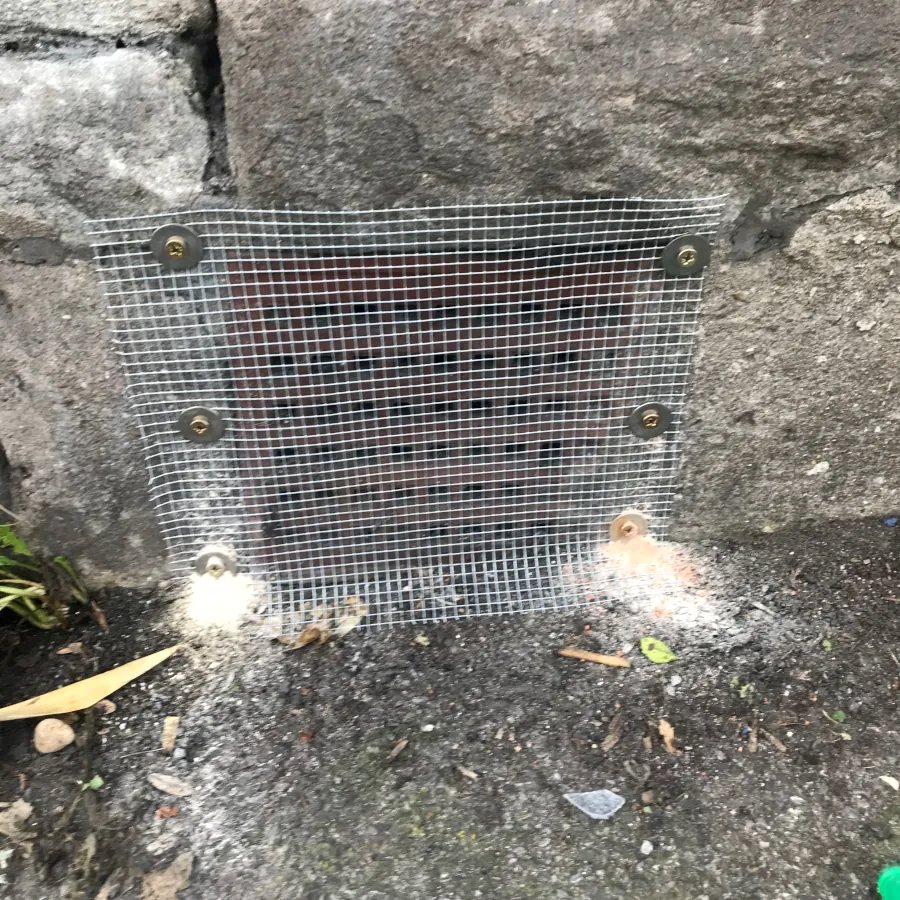 Entry hole meshed