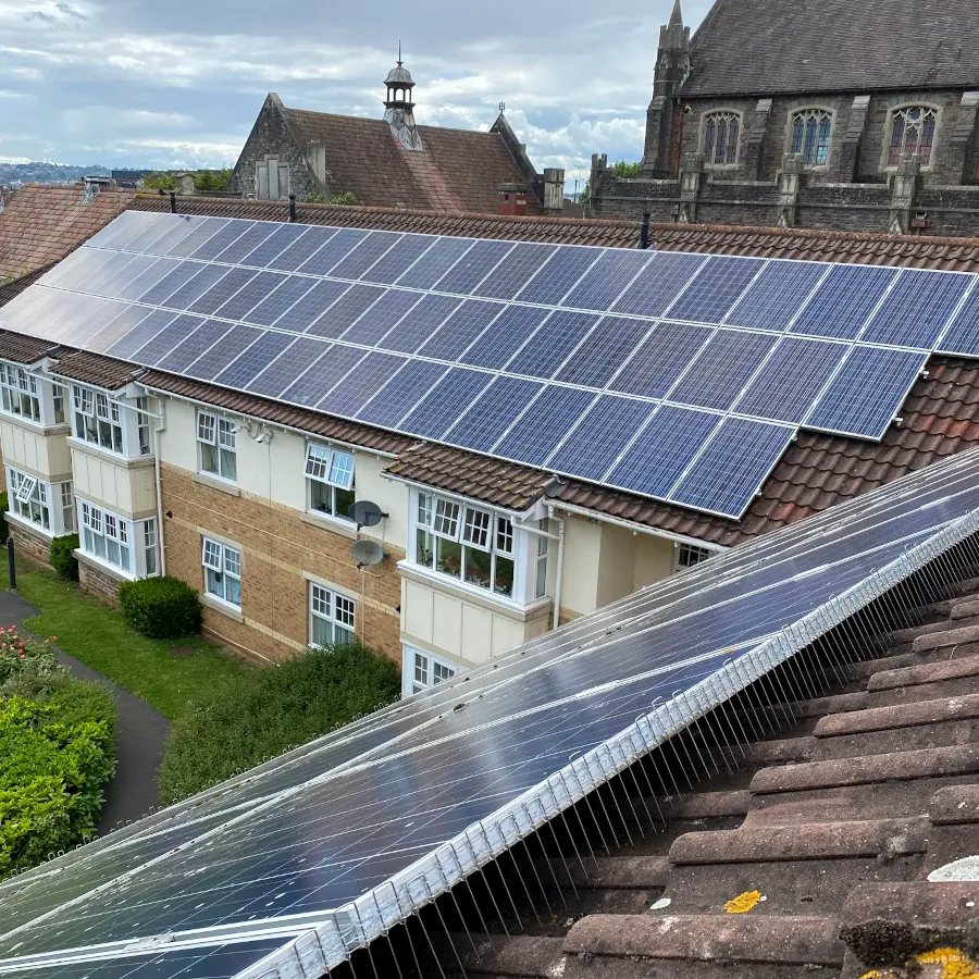 Bird mesh fitted around solar panels